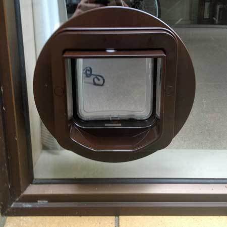 DualScan microchip cat door for glass | Cat Door Company